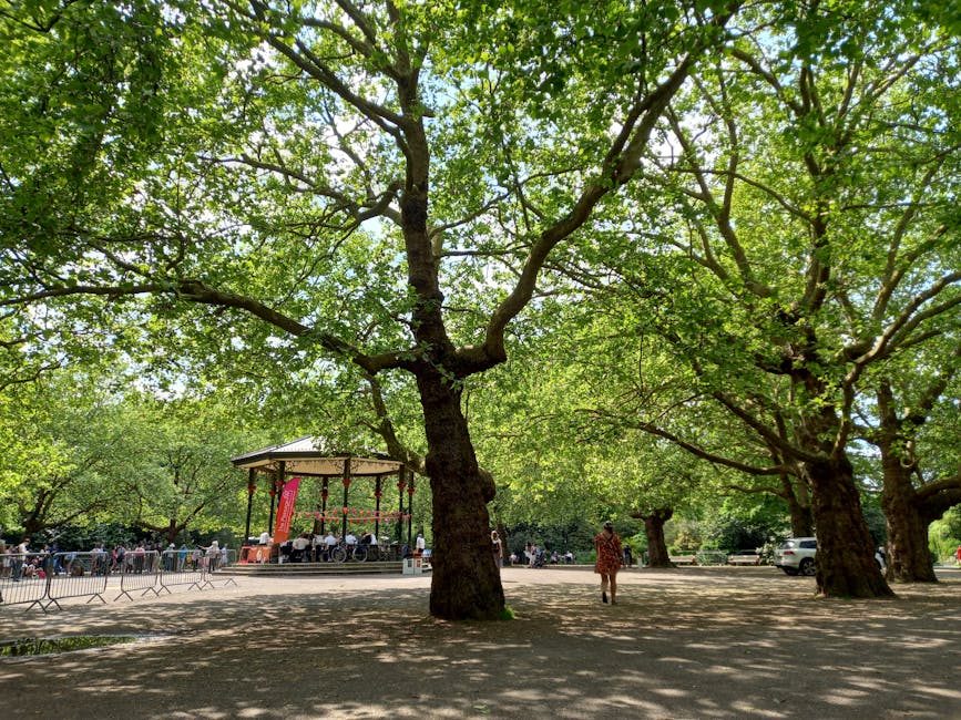 A large, leafy tree with a thick trunk and sprawling branches providing shade in an outdoor park setting. Under the shade, there is a small stage with a canopy, surrounded by a fence, where a group of people appears to be participating in a community event or performance. The ground is covered with dirt and patches of grass, with a person walking nearby, dressed in casual clothing. In the background, several parked cars are visible along the park's perimeter, and the scene is lit by natural daylight through the green foliage. The image captures a calm, outdoor environment that could be part of a residential area or park, relevant to house removals or community movement activities, as managed by South Lambeth, supporting efficient packing and furniture transport related to home relocations or local events.